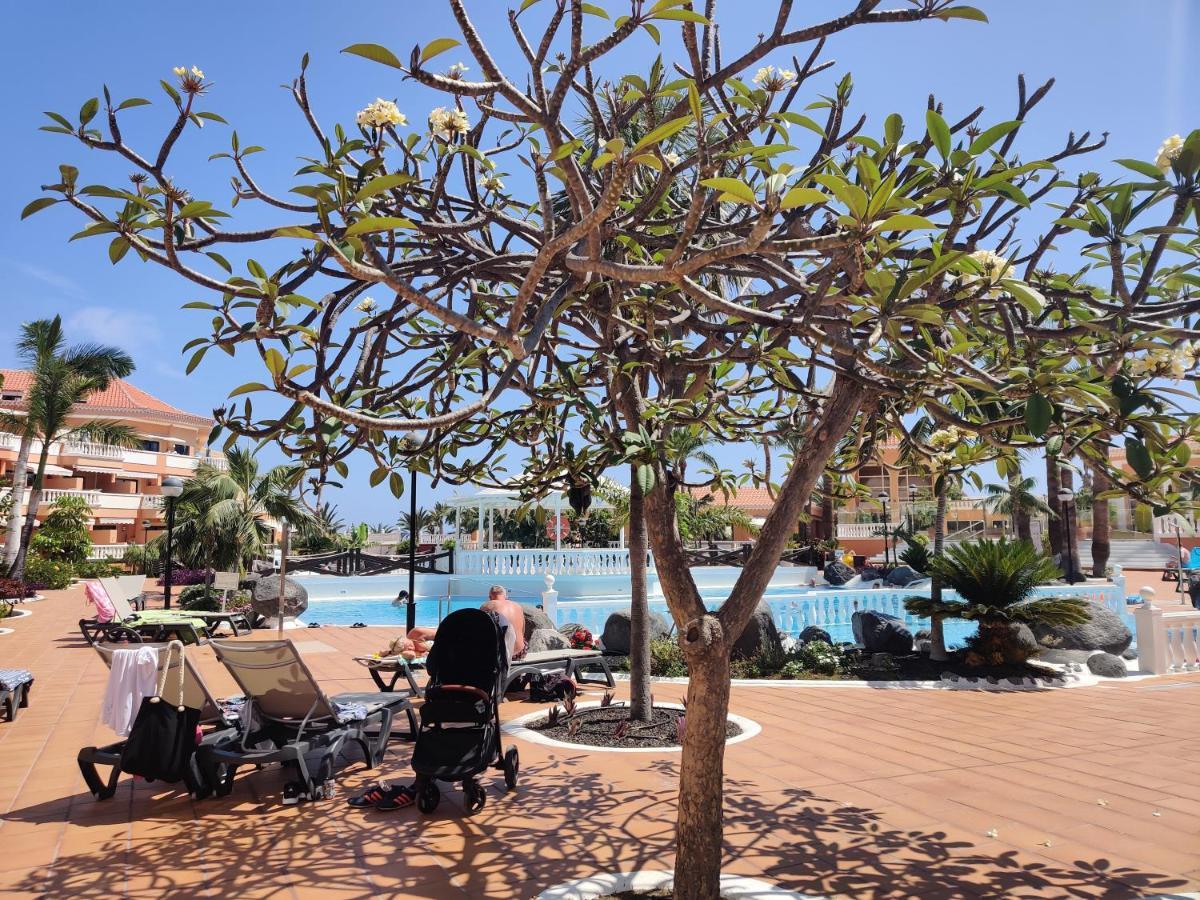 Seafront Royal Garden Mile Leilighet Playa de las Americas  Eksteriør bilde